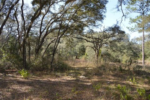 Terreno en venta en Spring Hill, Florida № 1804637 - foto 16