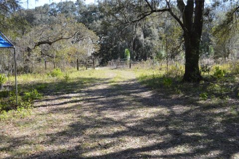 Terreno en venta en Spring Hill, Florida № 1804637 - foto 6