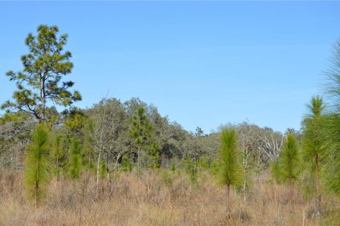 Terreno en venta en Spring Hill, Florida № 1804637 - foto 2