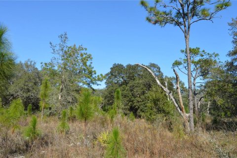 Terreno en venta en Spring Hill, Florida № 1804637 - foto 13