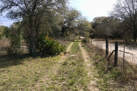 Terreno en venta en Spring Hill, Florida № 1804637 - foto 4