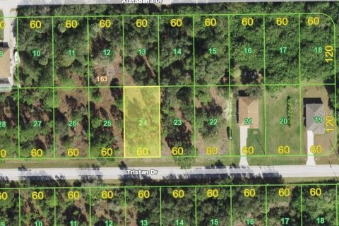 Land in Punta Gorda, Florida № 2163332