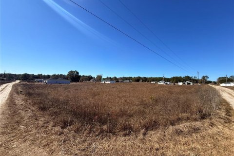Land in Ocala, Florida № 2160914 - photo 4