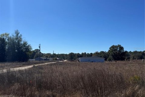 Land in Ocala, Florida № 2160914 - photo 2