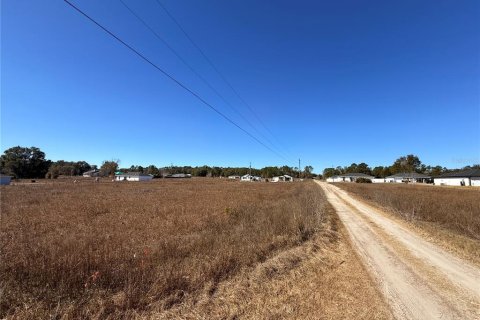 Land in Ocala, Florida № 2160914 - photo 5