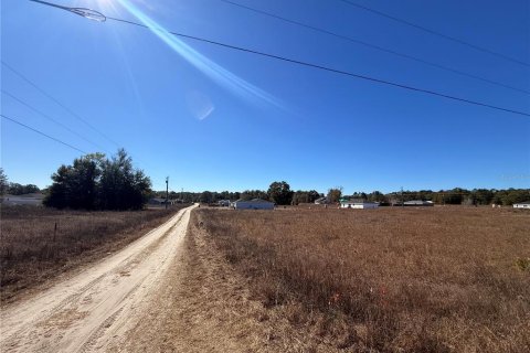 Land in Ocala, Florida № 2160914 - photo 7