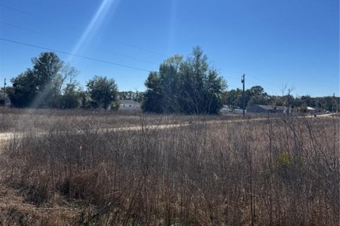 Land in Ocala, Florida № 2160914 - photo 3