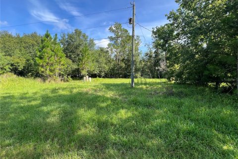 Apartamento en alquiler en Lakeland, Florida, 3 dormitorios, 98.1 m2 № 1828638 - foto 5