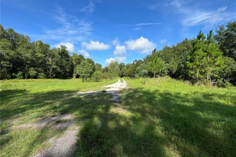 Apartamento en alquiler en Lakeland, Florida, 3 dormitorios, 98.1 m2 № 1828638 - foto 4