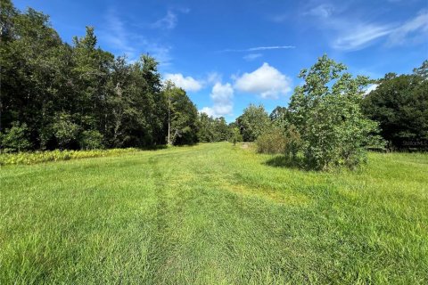 Apartamento en alquiler en Lakeland, Florida, 3 dormitorios, 98.1 m2 № 1828638 - foto 7