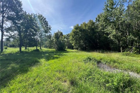 Apartamento en alquiler en Lakeland, Florida, 3 dormitorios, 98.1 m2 № 1828638 - foto 6