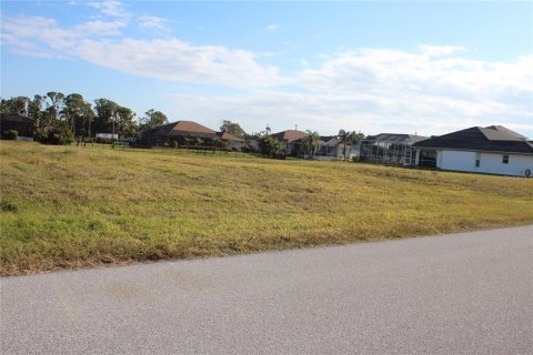 Land in Rotonda, Florida № 1637874 - photo 4