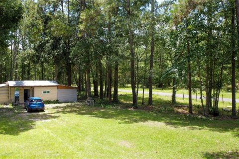 Terreno en venta en Micanopy, Florida № 2221758 - foto 5