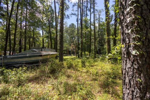 Terreno en venta en Micanopy, Florida № 2221758 - foto 14