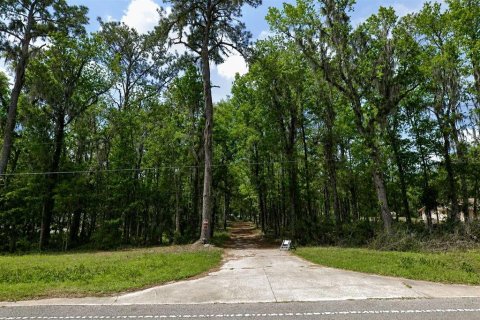 Terreno en Micanopy, Florida № 2221758