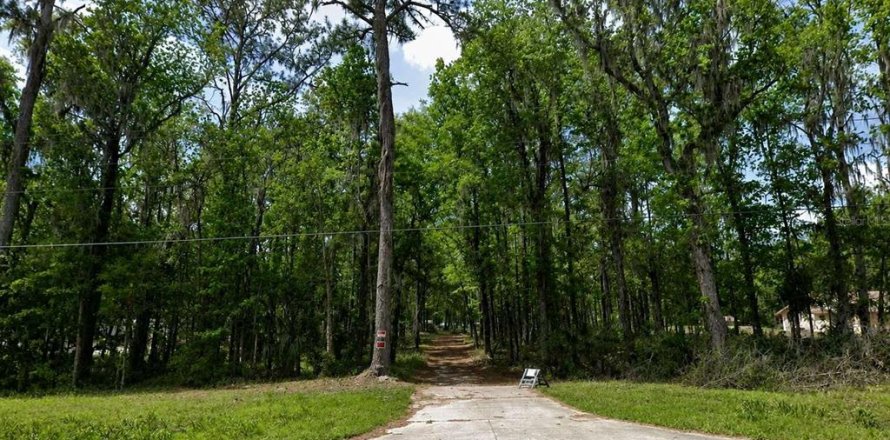 Terreno en Micanopy, Florida № 2221758