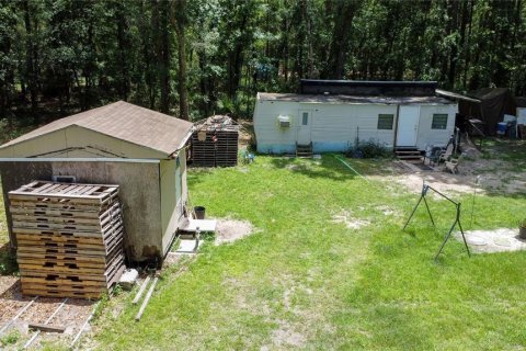 Terreno en venta en Micanopy, Florida № 2221758 - foto 7
