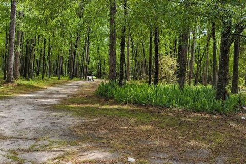 Terreno en venta en Micanopy, Florida № 2221758 - foto 2