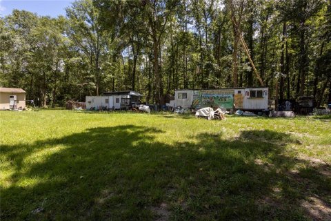 Terreno en venta en Micanopy, Florida № 2221758 - foto 3