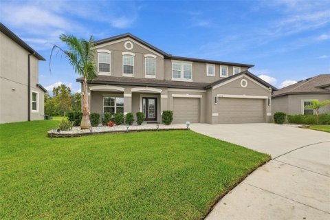 Villa ou maison à Wesley Chapel, Floride 5 chambres, 305.83 m2 № 2395531