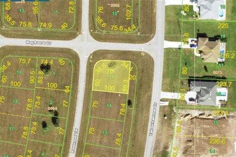 Terreno en venta en Placida, Florida № 2165779 - foto 2