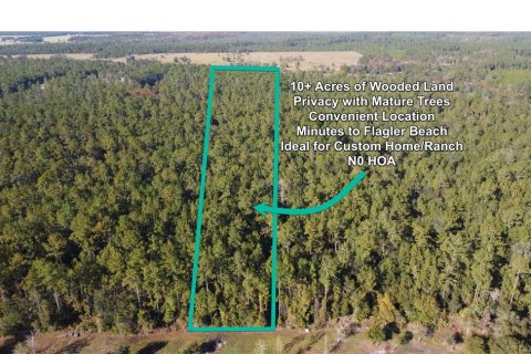 Terrain à vendre à Bunnell, Floride № 2097472 - photo 2