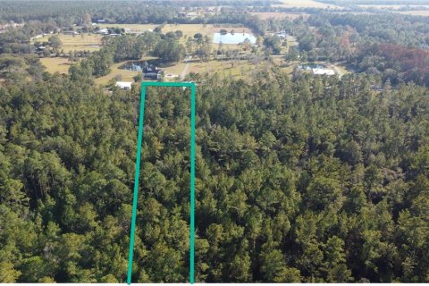 Terrain à vendre à Bunnell, Floride № 2097472 - photo 4