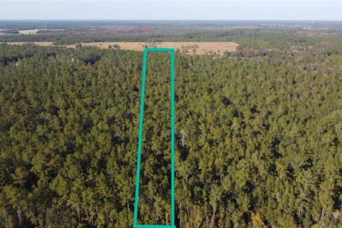 Terrain à vendre à Bunnell, Floride № 2097472 - photo 5