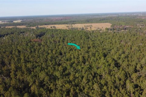 Terrain à vendre à Bunnell, Floride № 2097472 - photo 3