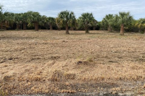 Immobilier commercial à vendre à Palm Bay, Floride № 2177138 - photo 5