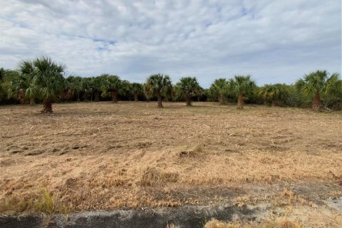 Immobilier commercial à vendre à Palm Bay, Floride № 2177138 - photo 6
