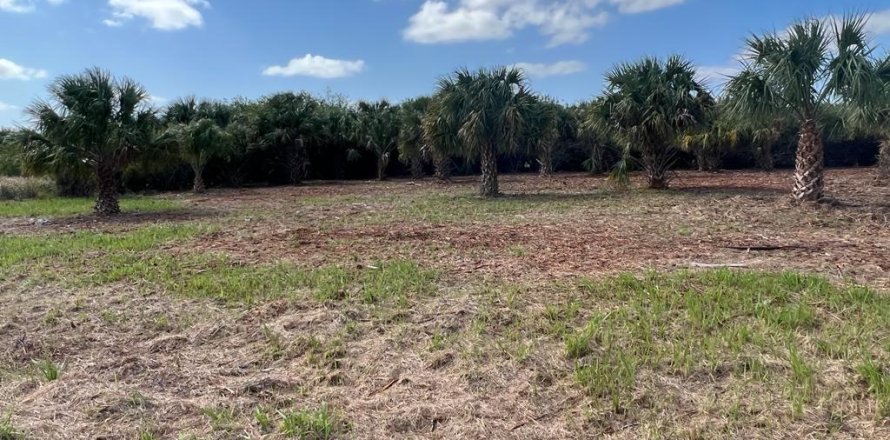 Immobilier commercial à Palm Bay, Floride № 2177138