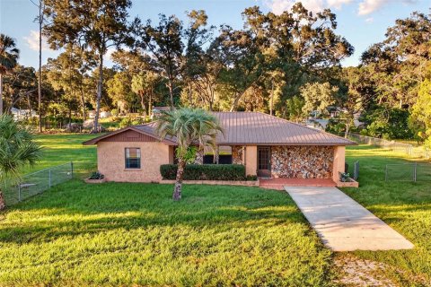 Villa ou maison à Inverness, Floride 3 chambres, 141.21 m2 № 2418993
