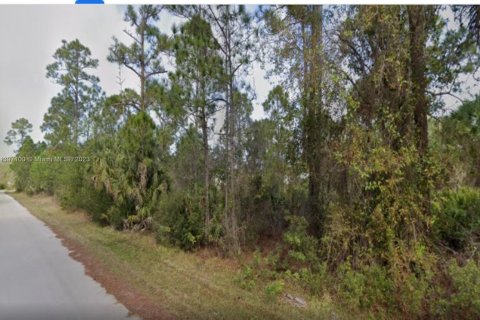 Terrain à vendre à Punta Gorda, Floride № 1860642 - photo 2