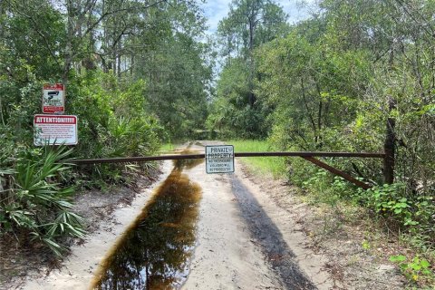 Land in Osteen, Florida № 2162331 - photo 3
