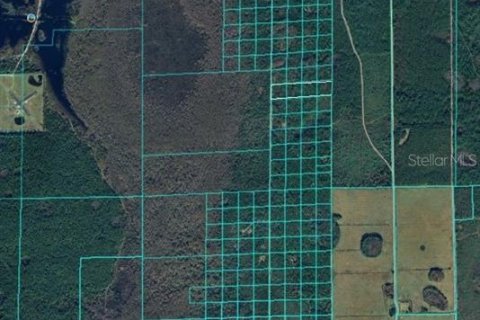Land in Osteen, Florida № 2162331 - photo 2