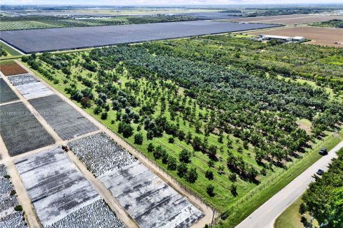 Commercial property in Homestead, Florida № 1956867 - photo 3