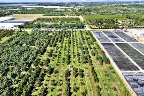 Commercial property in Homestead, Florida № 1956867 - photo 4