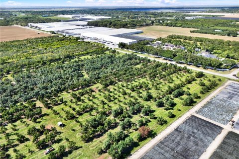 Commercial property in Homestead, Florida № 1956867 - photo 5