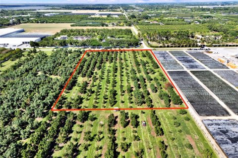 Commercial property in Homestead, Florida № 1956867 - photo 2