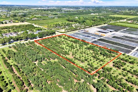 Commercial property in Homestead, Florida № 1956867 - photo 1