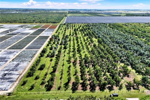 Commercial property in Homestead, Florida № 1956867 - photo 6