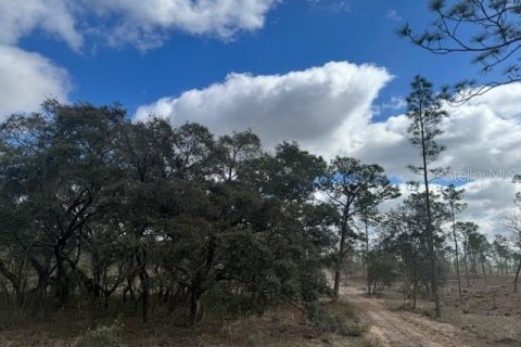 Terreno en venta en Morriston, Florida № 1521259 - foto 4