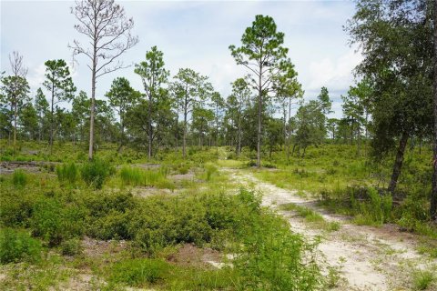 Terreno en venta en Morriston, Florida № 1521259 - foto 16