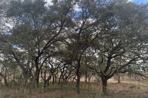 Terreno en venta en Morriston, Florida № 1521259 - foto 5
