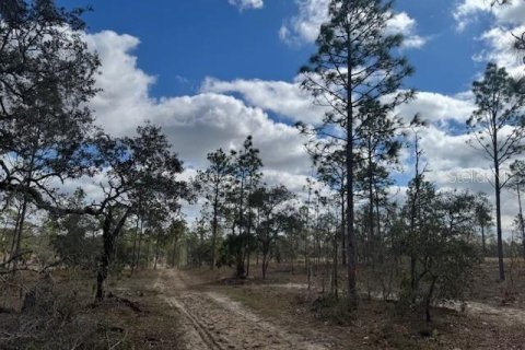 Terreno en venta en Morriston, Florida № 1521259 - foto 3