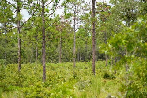 Terreno en venta en Morriston, Florida № 1521259 - foto 12