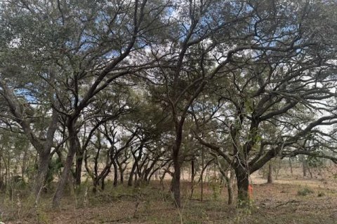 Terreno en venta en Morriston, Florida № 1521259 - foto 6