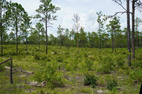 Terreno en venta en Morriston, Florida № 1521259 - foto 14