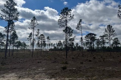 Terreno en venta en Morriston, Florida № 1521259 - foto 9